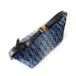 Medium DiorTravel Nomad Pouch